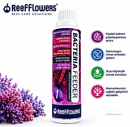 Reeflowers Bacteria Feeder