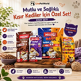LivaPetWorld Kısır Kedi Ödül Seti ile kedinizi hem mutlu edin hem de sağlığını destekleyin!
