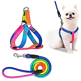 GÖKKUŞAĞI TAKIM TASMA