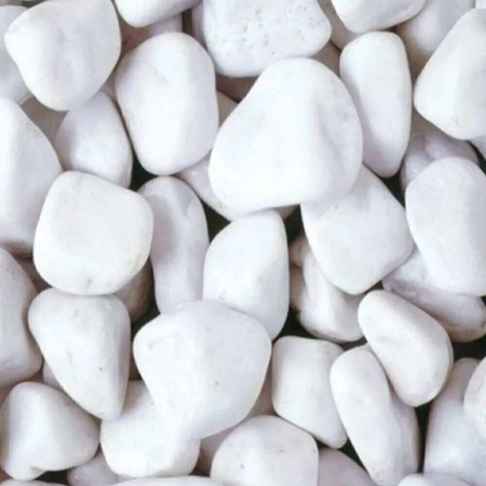 Adet Fiyatı Akvaryum Taşları