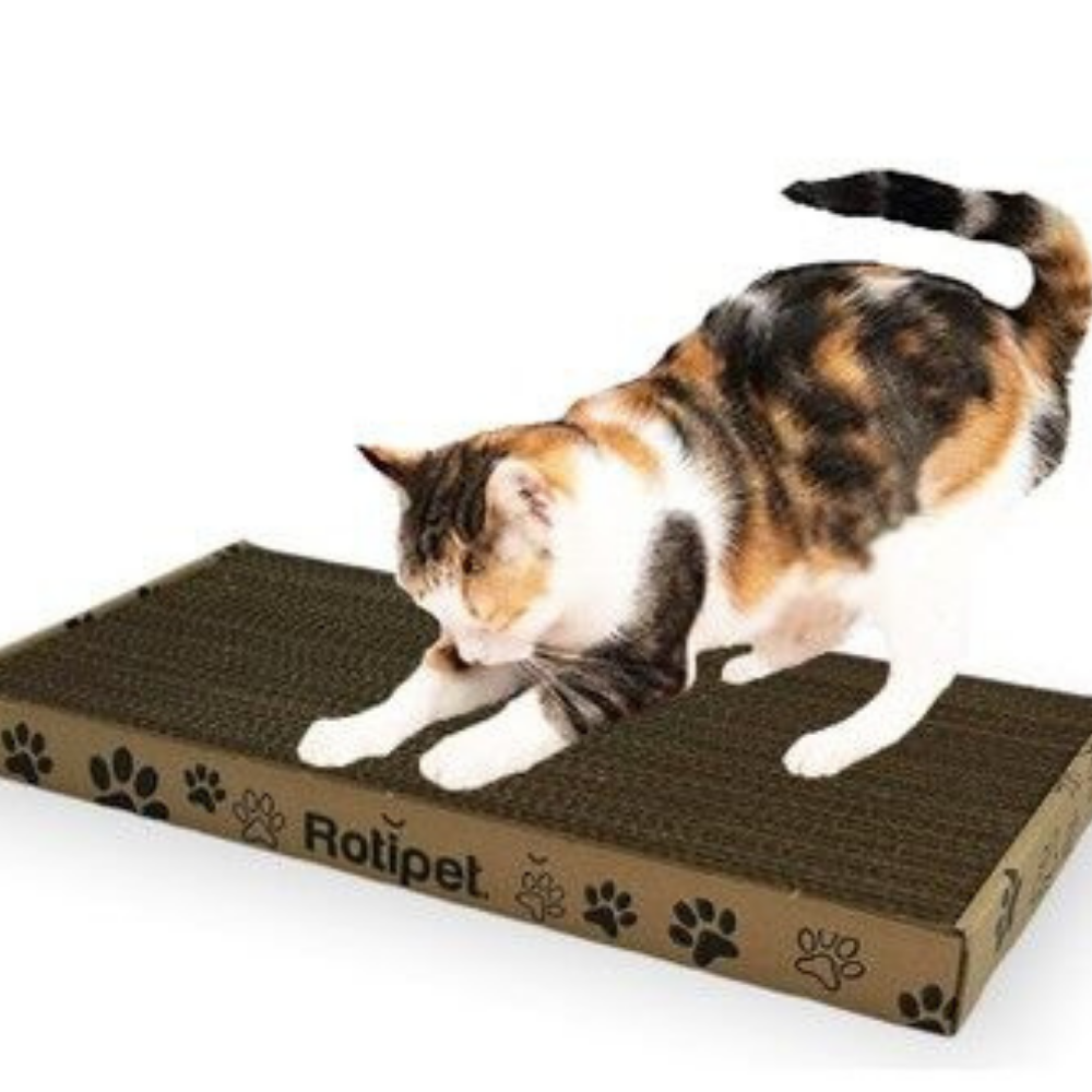 ROTIFISH-KEDI-TIRMALAMA