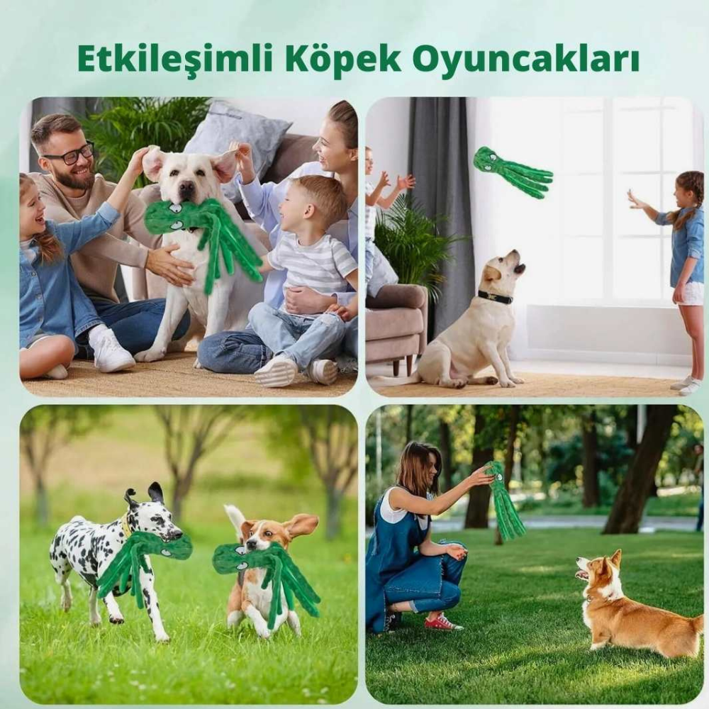 Sevimli ve Dayanıklı Ahtapot Köpek Oyuncağı